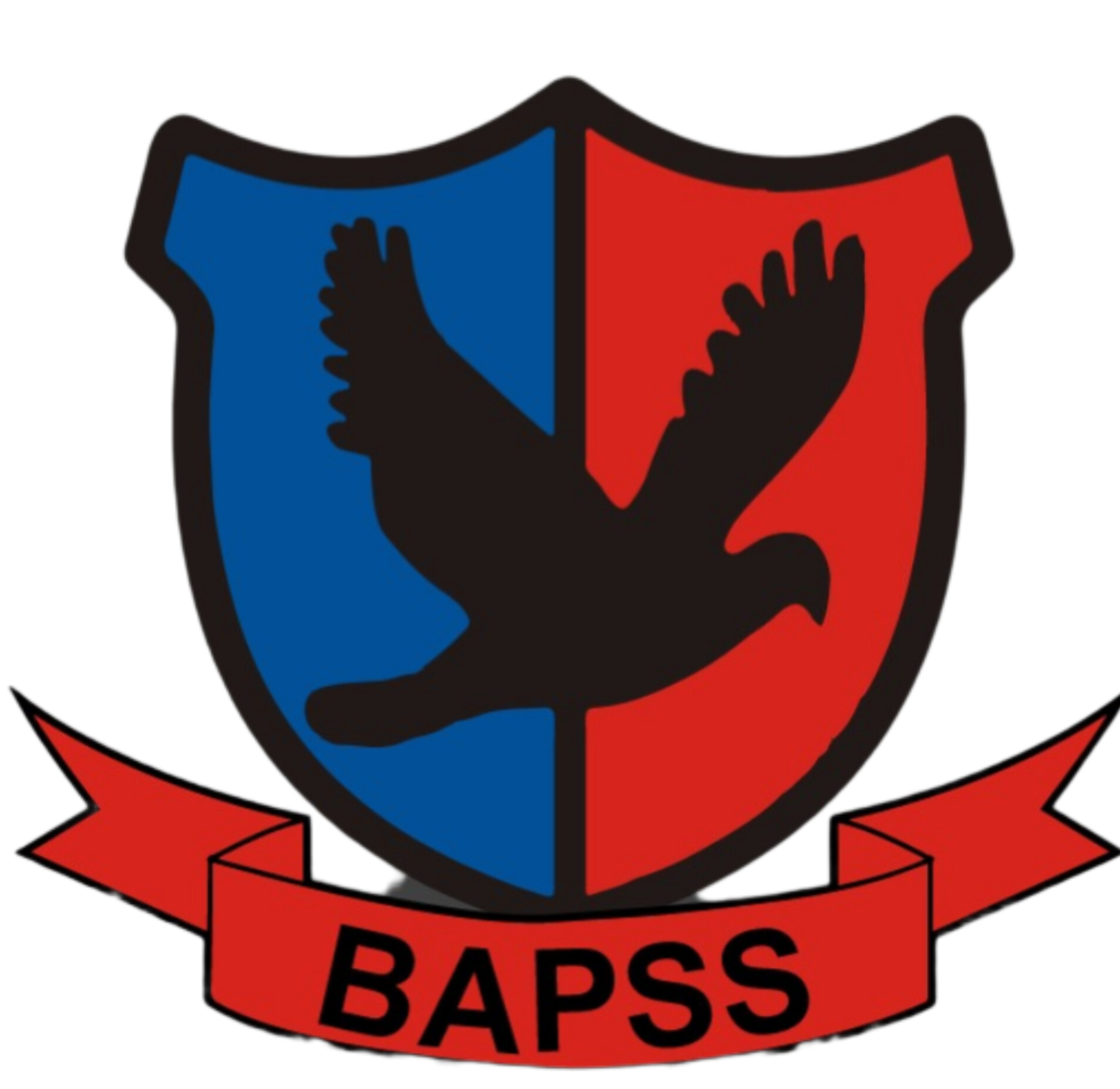 BAPSS Security Logo